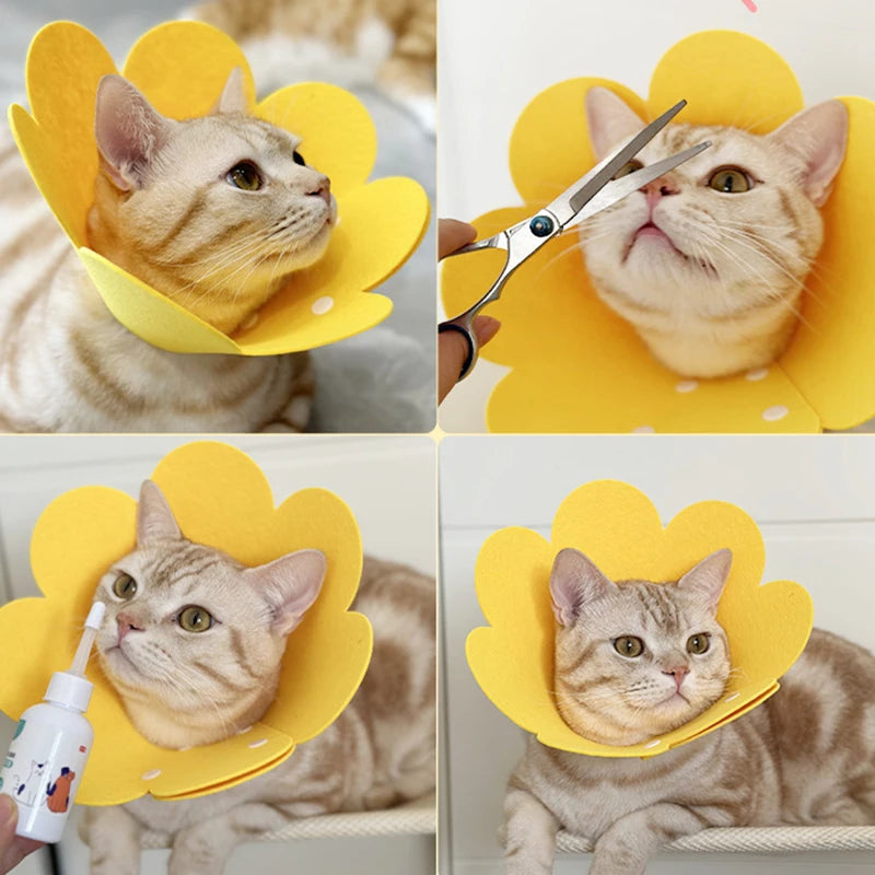 Soft Flower Recovery Collar for Cats and Small Dogs