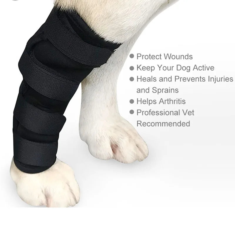 Leg Brace Wraps for Dogs