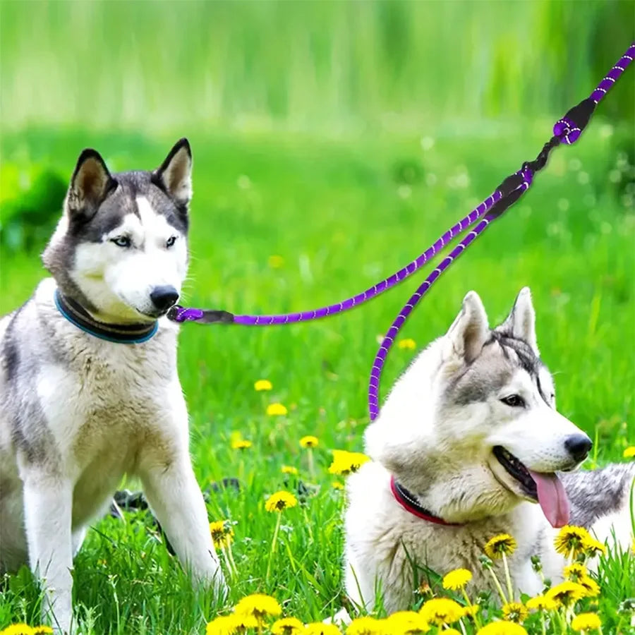 Double Lead Coupler for Two Dogs