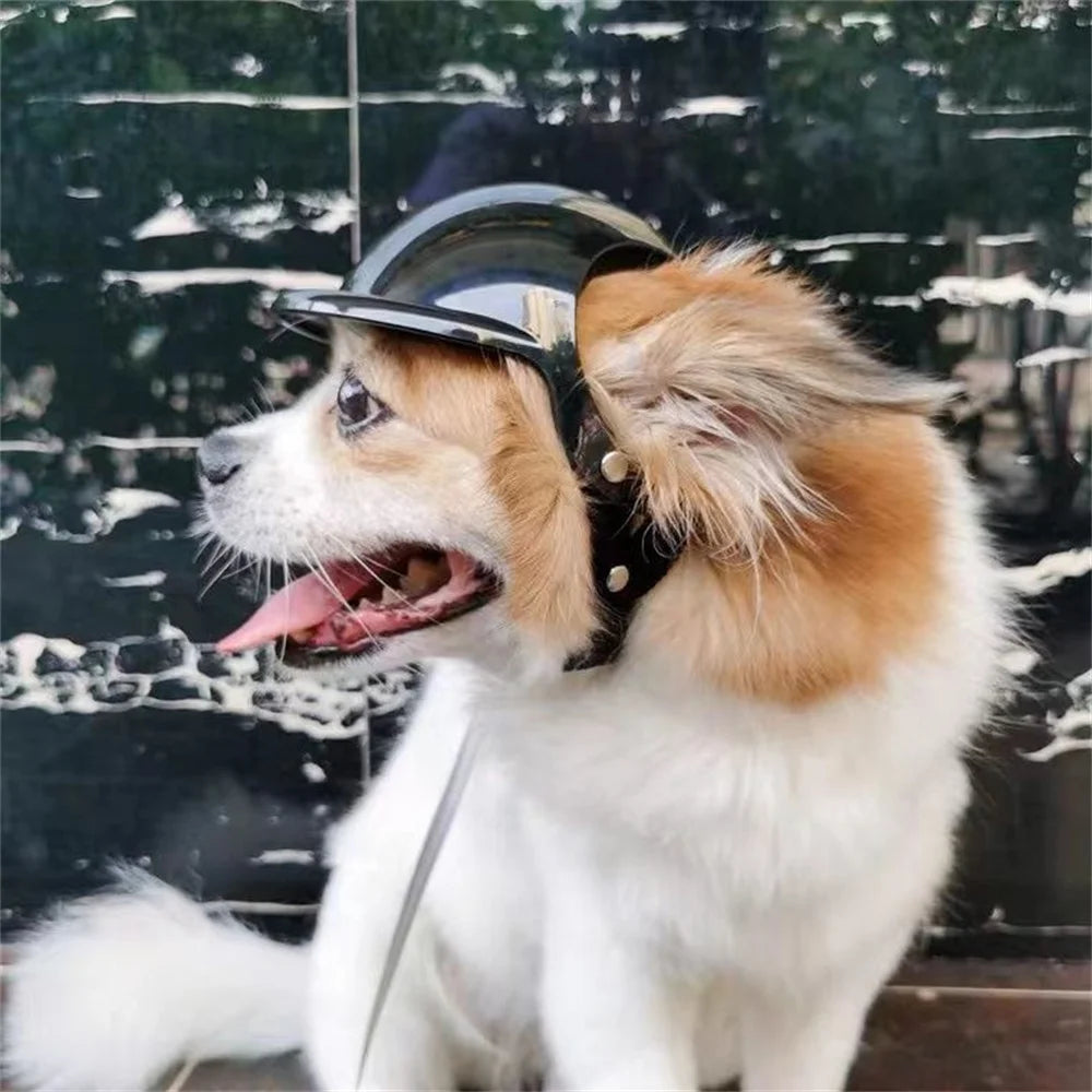 Motorbike-Style Dog Helmet