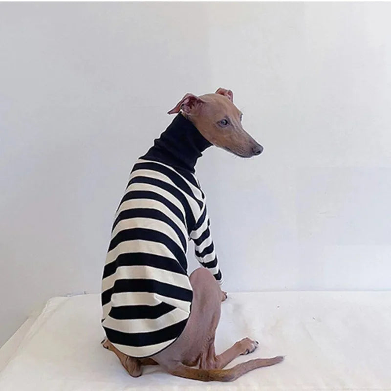 Striped Roll-Neck Top for Greyhounds