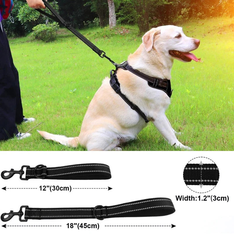 Short Traffic Lead for Dogs
