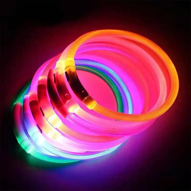 USB Rechargeable LED Dog Collar
