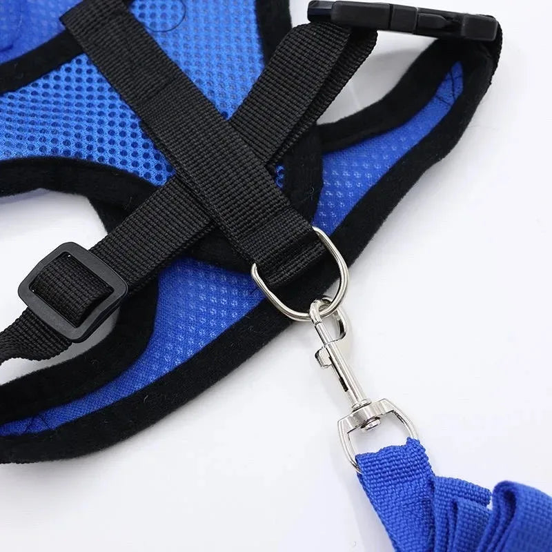 Mesh Cat Harness and Lead Set