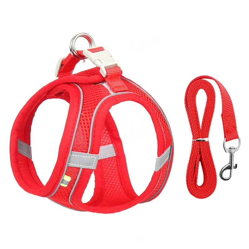 Soft Harness and Lead Set for Puppies and Small Dogs - Red / XXS 0.5-1.5 kg