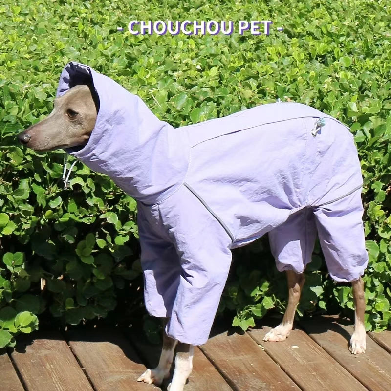 Raincoat for Greyhounds and Whippets