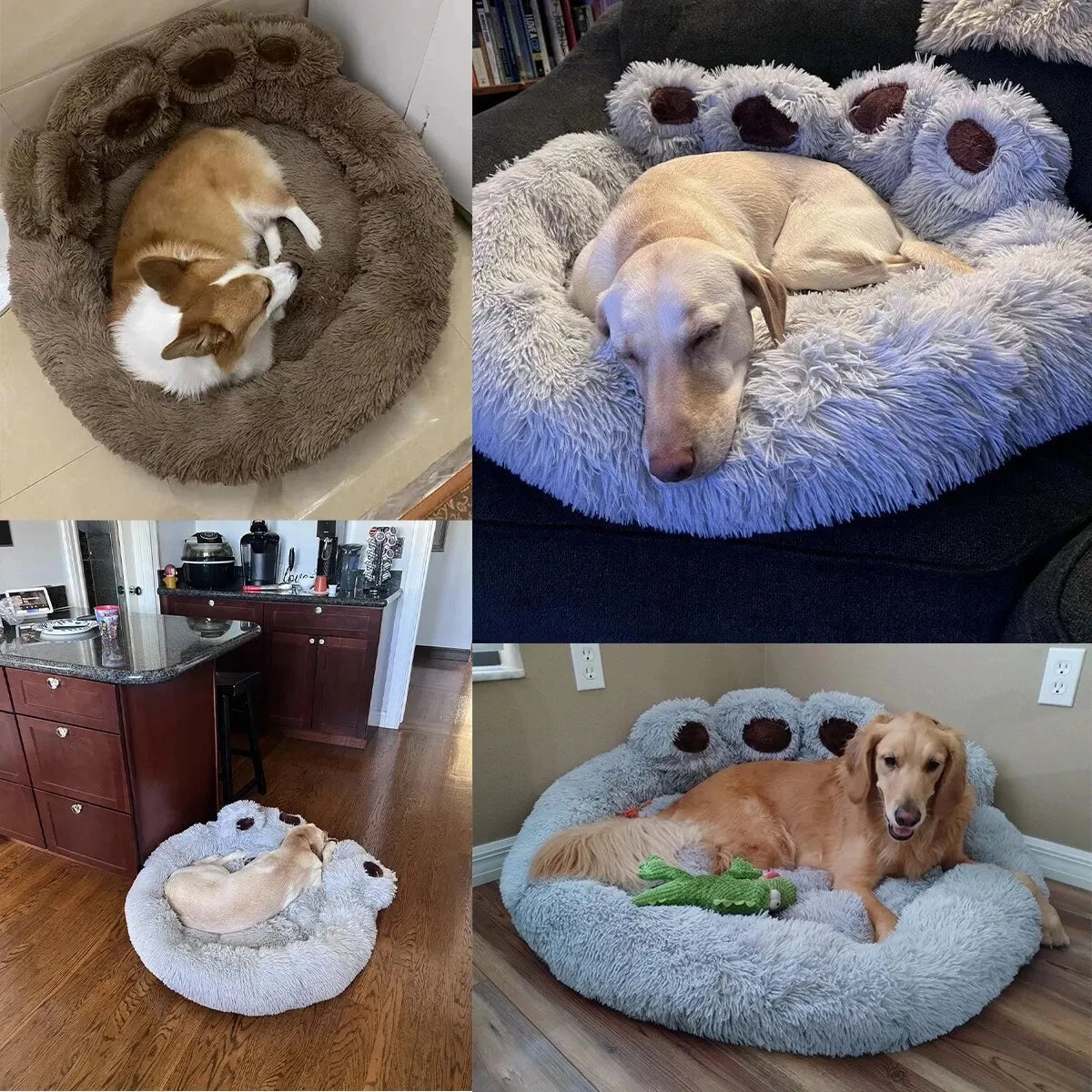 Bear Paw Plush Bed