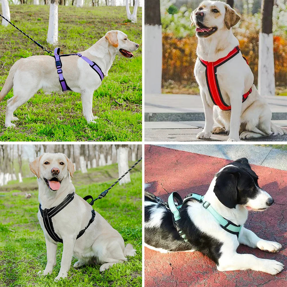 Padded Dog Harness with Handle, Lead Option