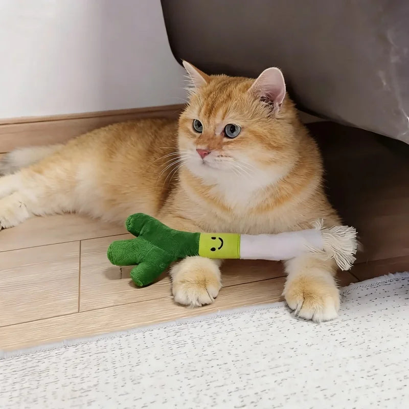 Squeaky Plush Spring Onion Toy