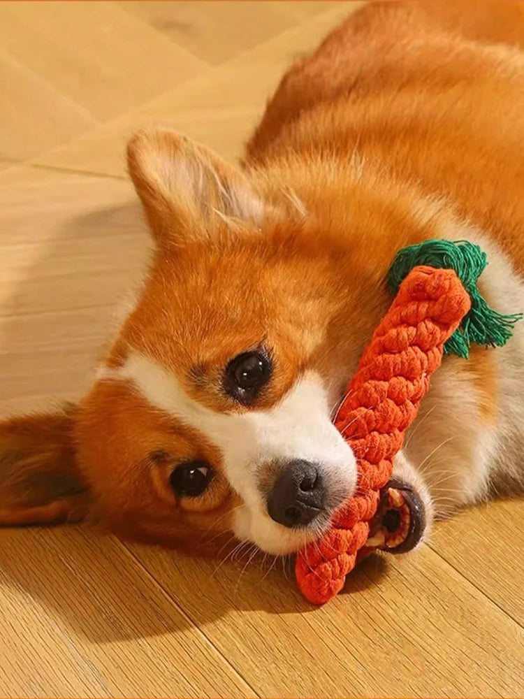 Hand-Woven Rope Animal Dog Toy