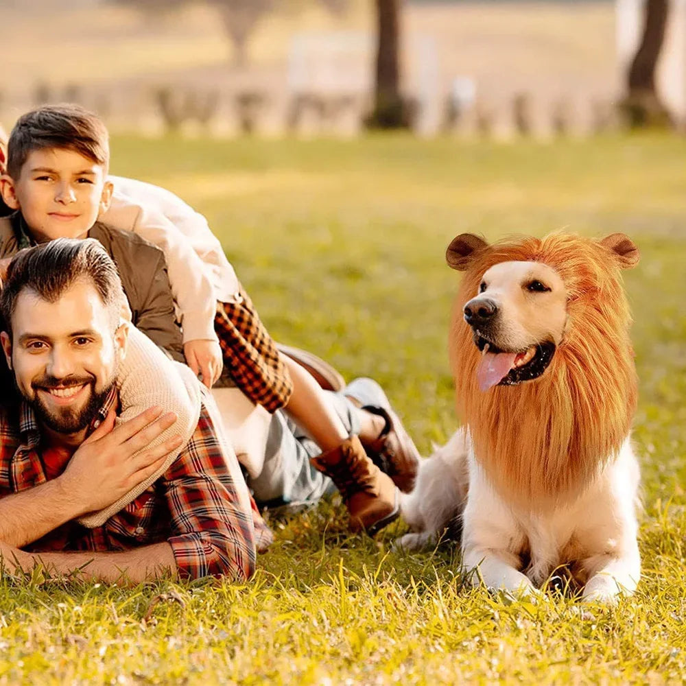 Lion Mane Costume for Dogs