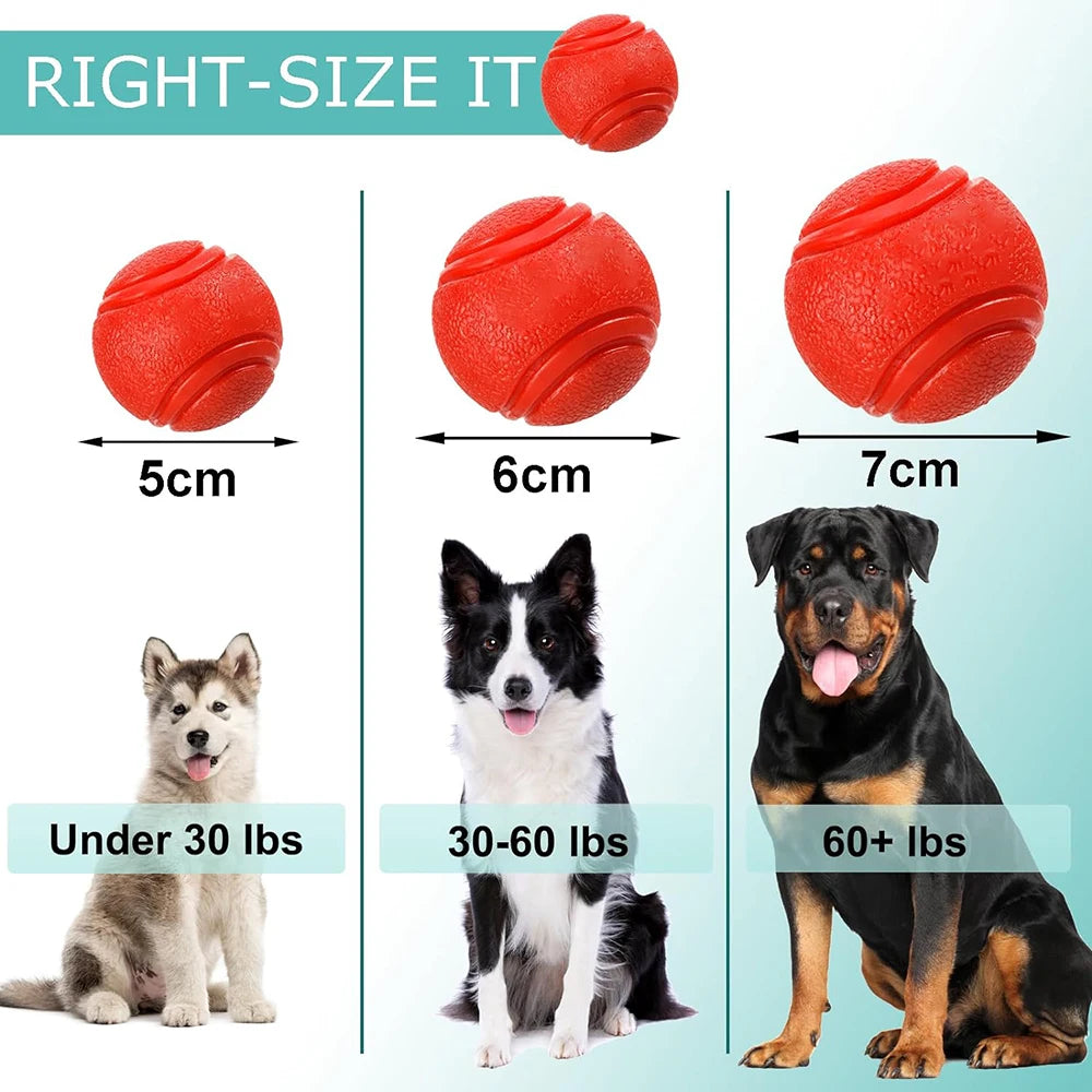 Solid Rubber Fetch Ball
