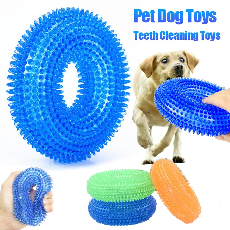 Spiky Ring Squeaky Chew Toy