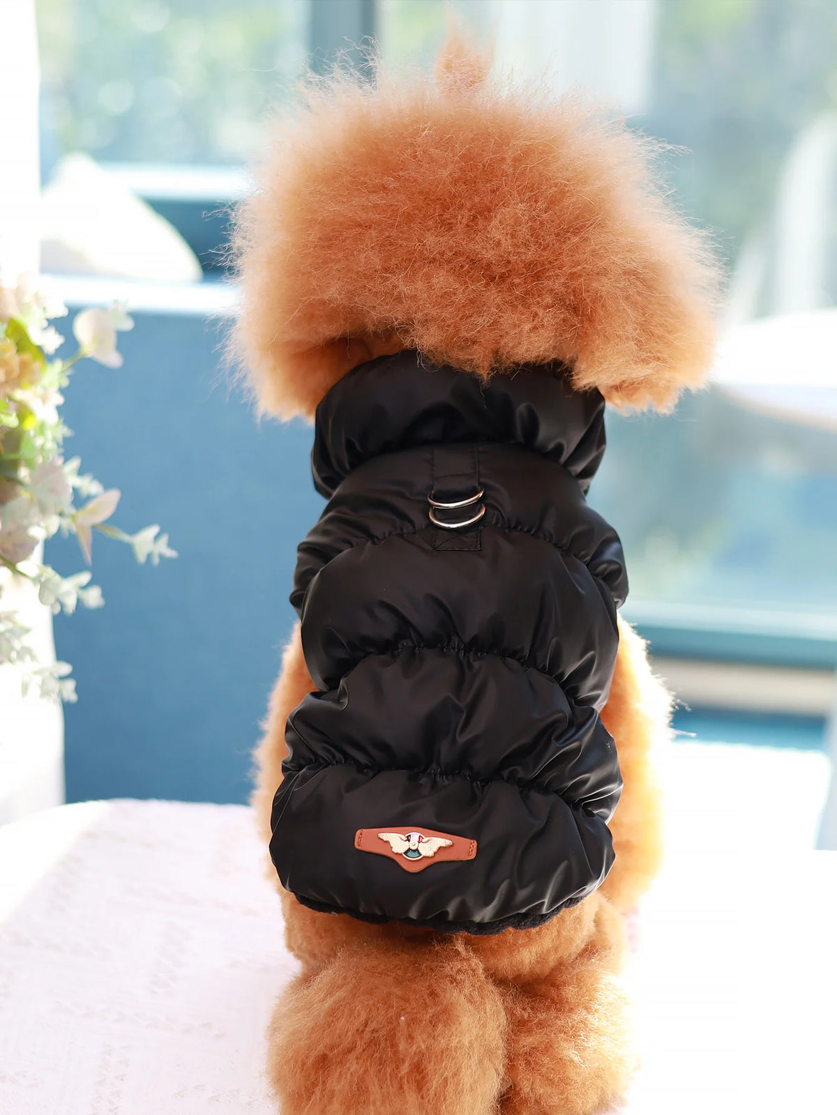 Quilted 3-Layer Winter Dog Jacket - Black / XS