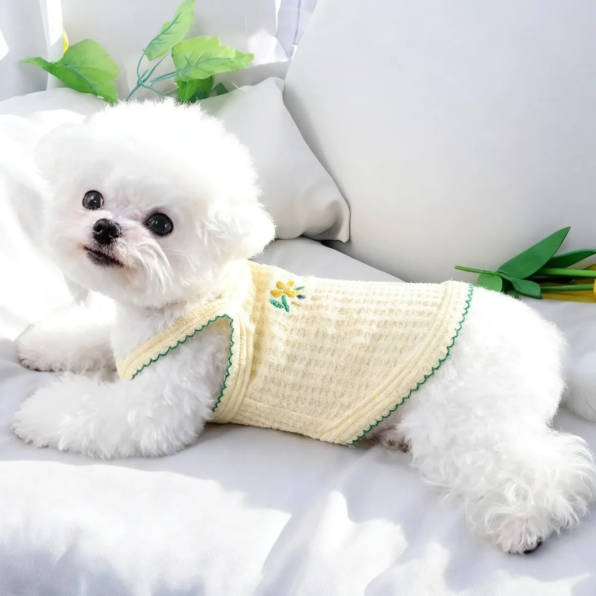 Embroidered Summer Vest for Small Dogs