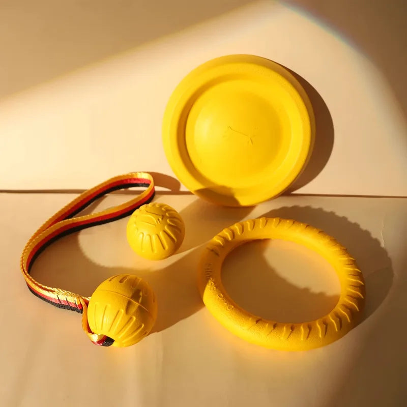 Foam Ring, Disc and Ball Fetch Toys
