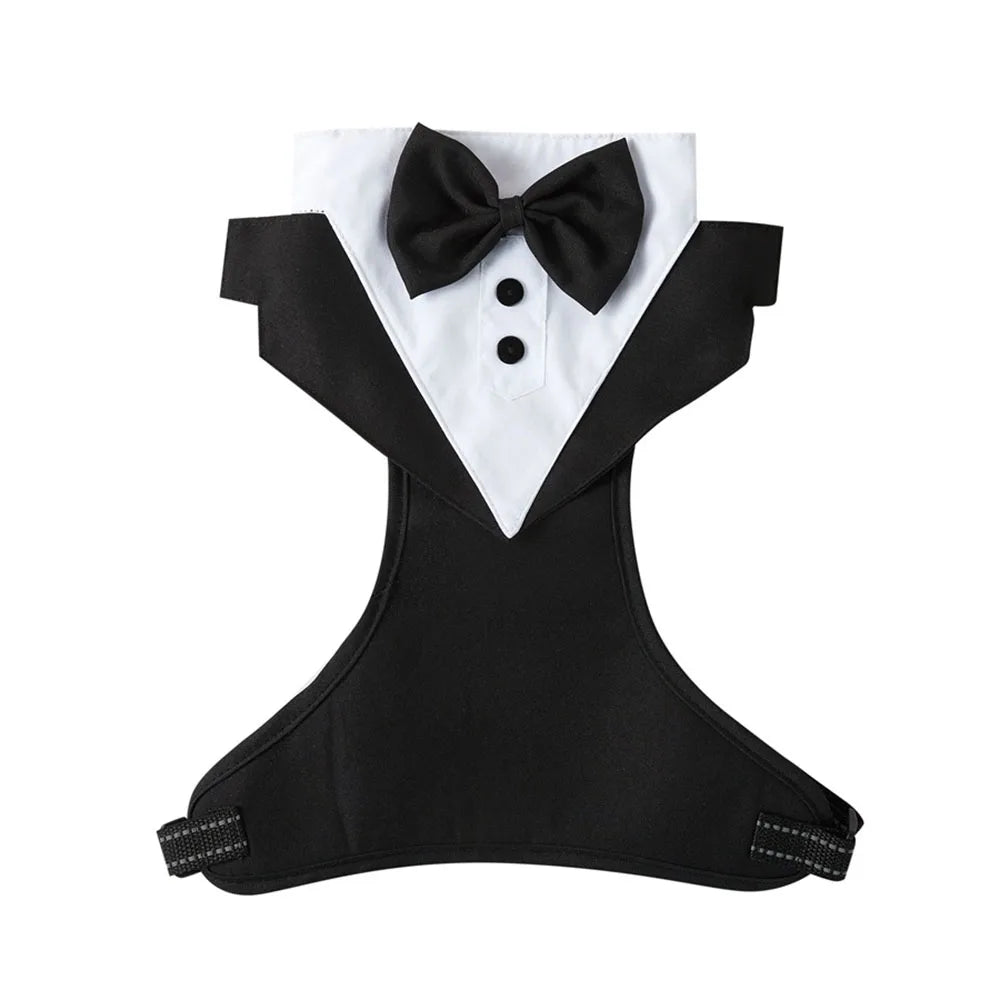Tuxedo Dog Harness