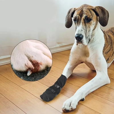 Recovery Boot for Dogs