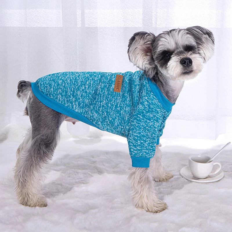Casual Sweatshirt for Small Dogs