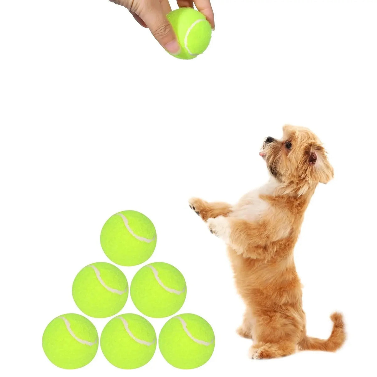 Mini Tennis Balls for Dogs, 5 cm