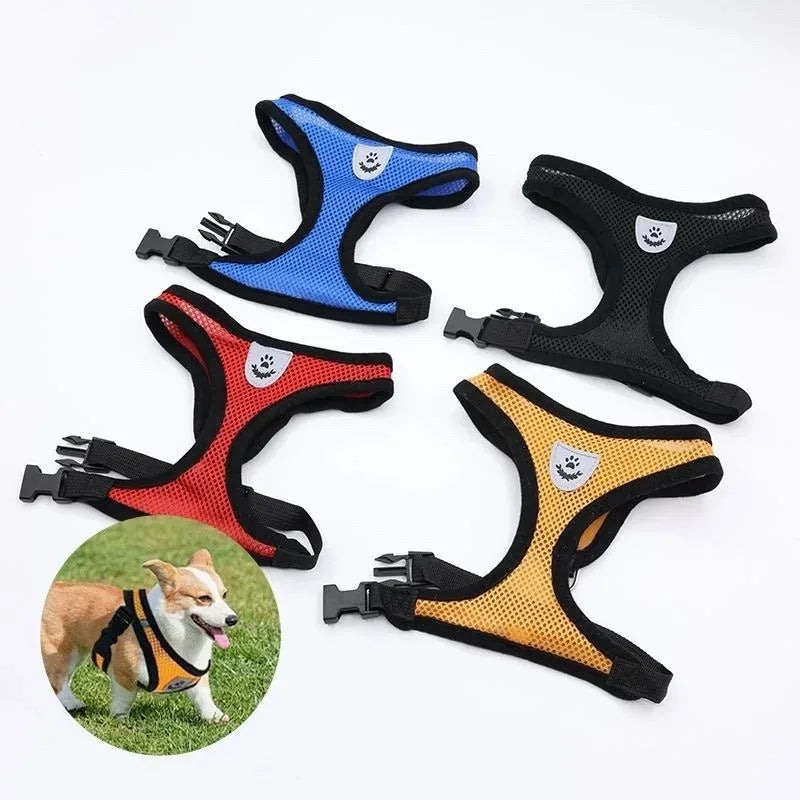 Mesh Cat Harness and Lead Set