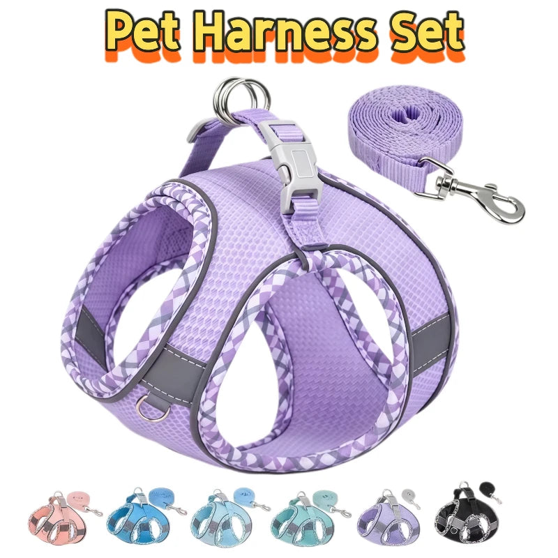 Reflective Mesh Harness and Lead Set