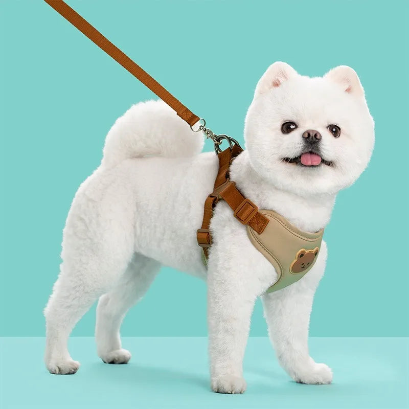 Plaid Harness and Lead Set for Small Dogs and Cats