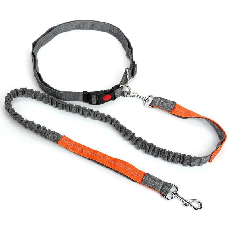 Hands-Free Waist Lead - Grey Orange