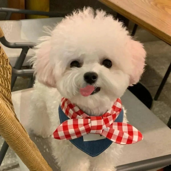 Gingham Bandana Bib with Bow Tie