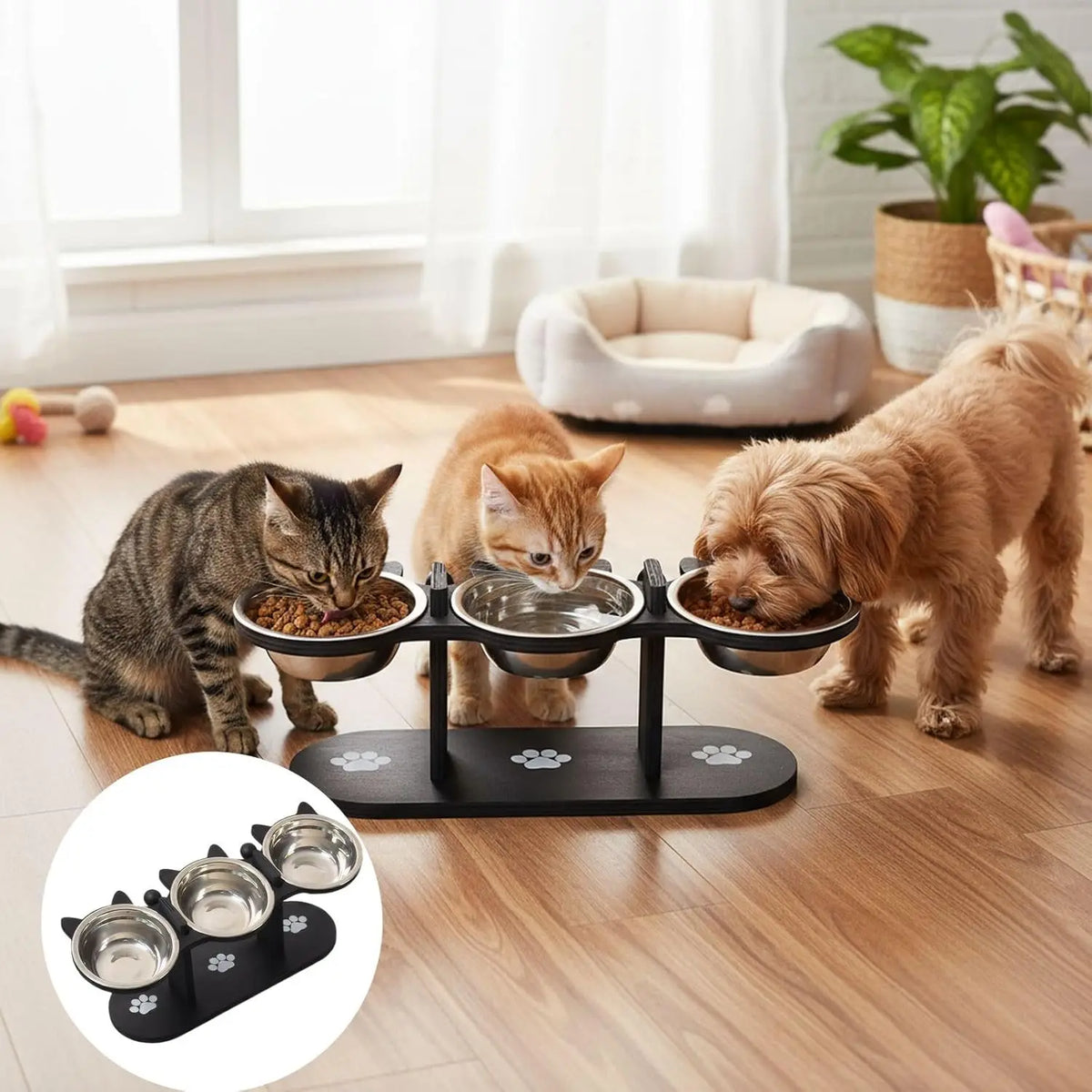 Tilted Stainless Steel Cat Bowls on Wooden Stand