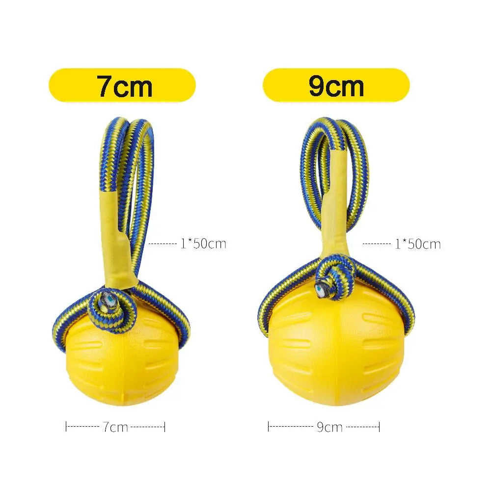 Rubber Ball on a Rope for Dogs