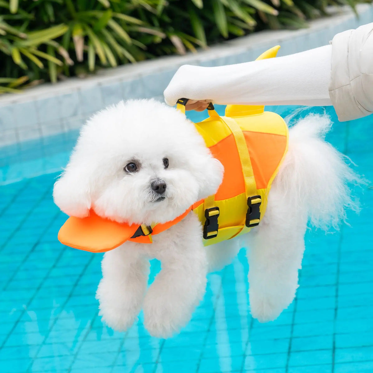 Dog Life Jacket with Handle