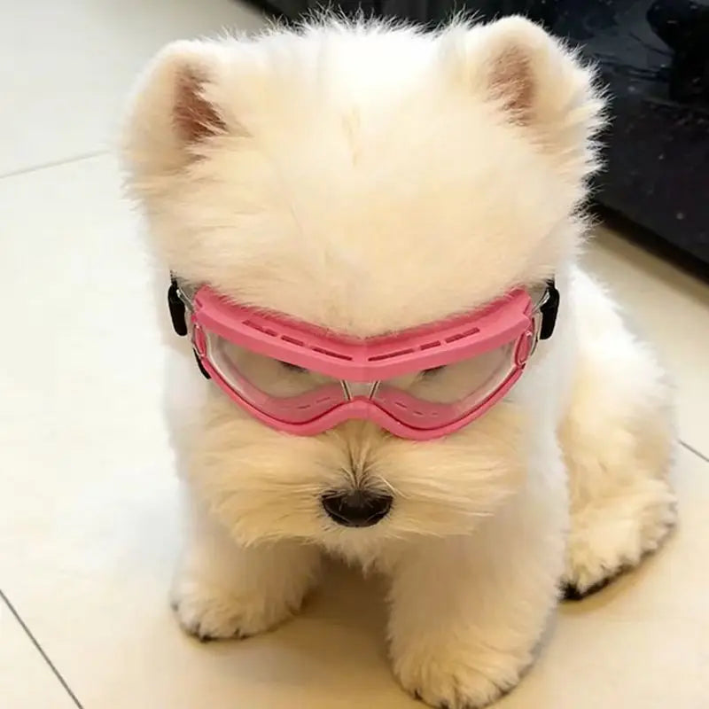 Dog Goggles with UV Protection