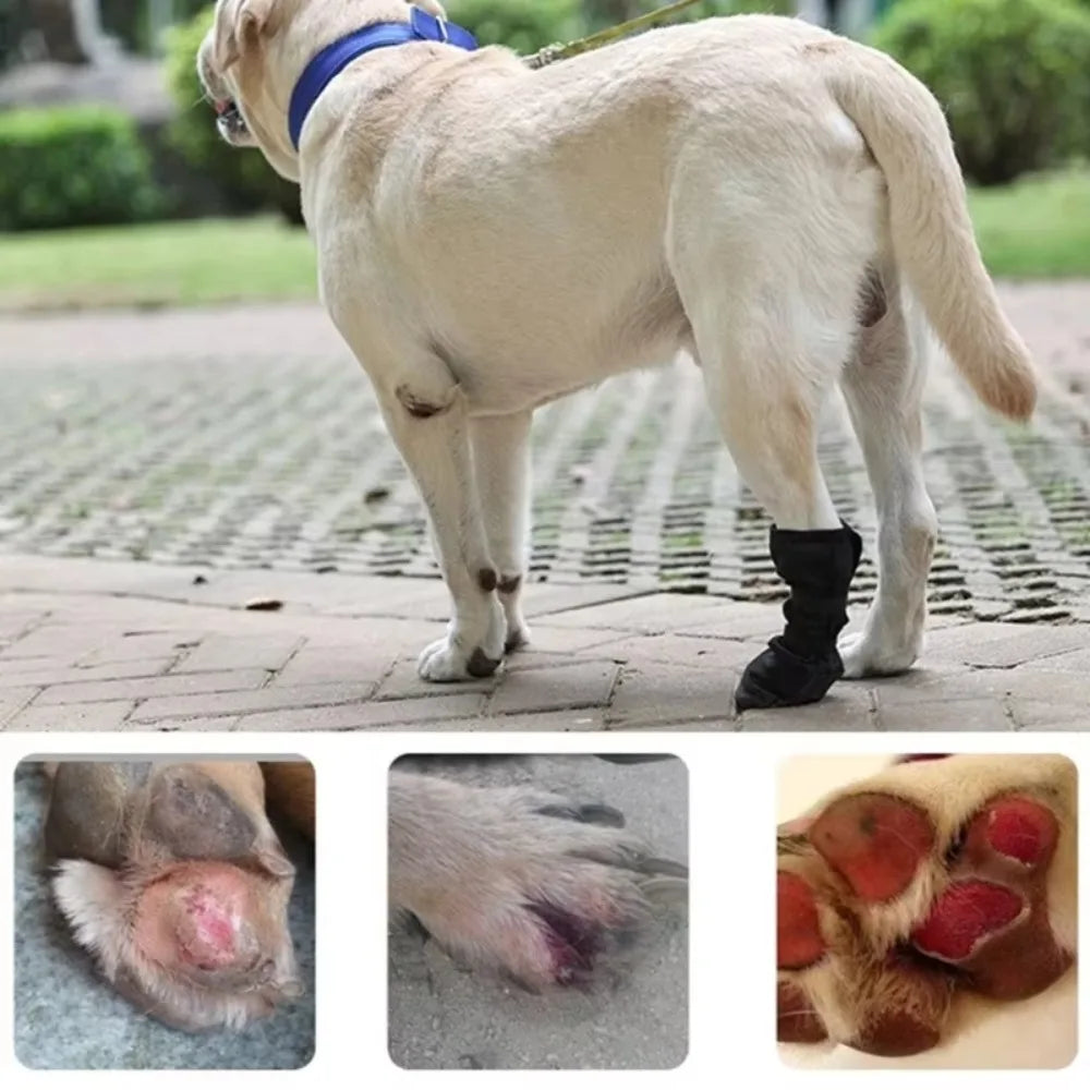 Recovery Boot for Dogs