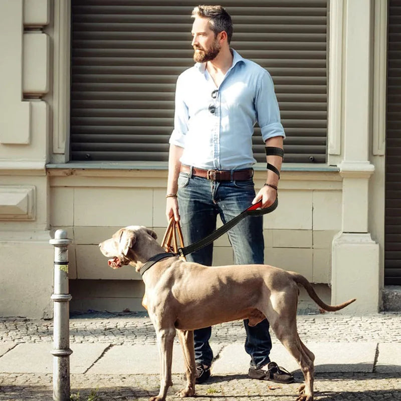 Double-Handle Reflective Dog Lead