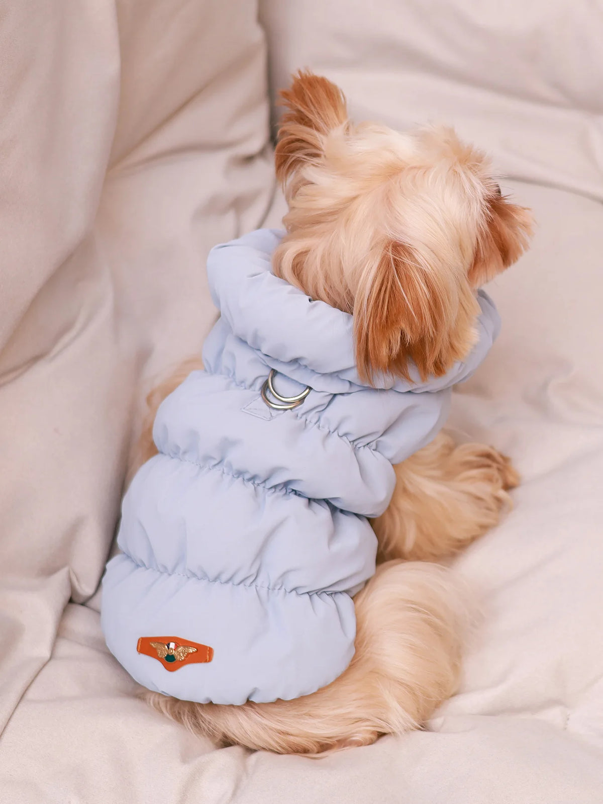 Quilted 3-Layer Winter Dog Jacket - Blue / XS