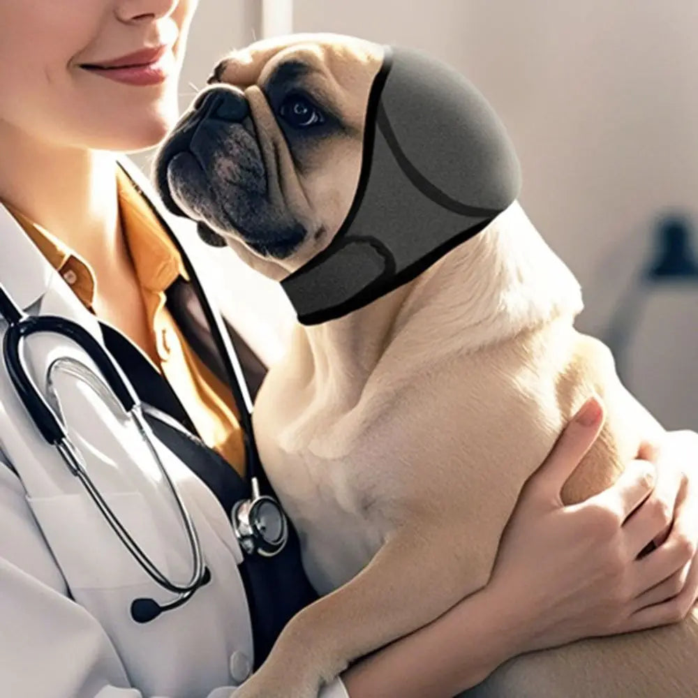 Noise-Reducing Ear Covers for Dogs