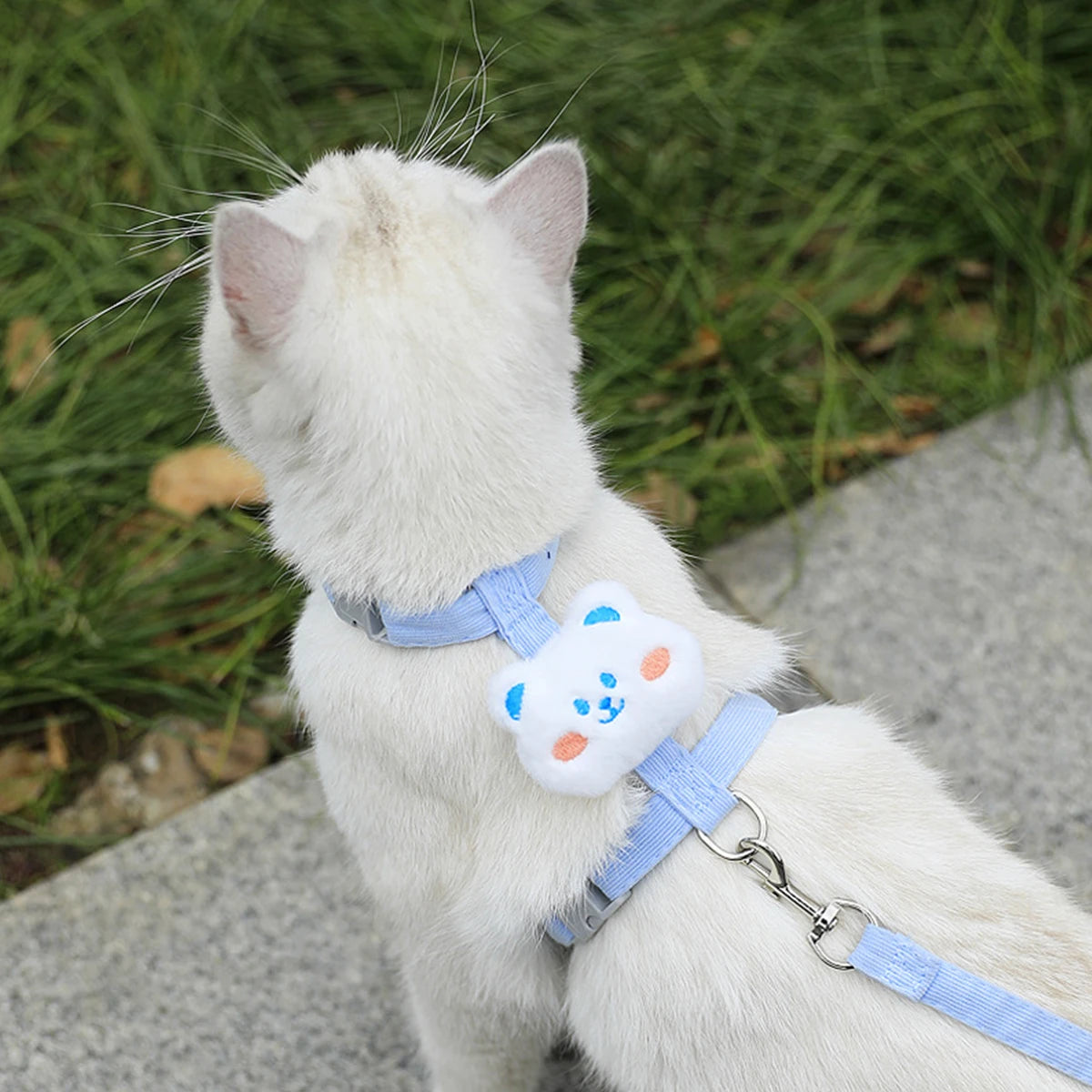 Cute Harness and Lead Set for Cats and Small Dogs - Little Bear / M