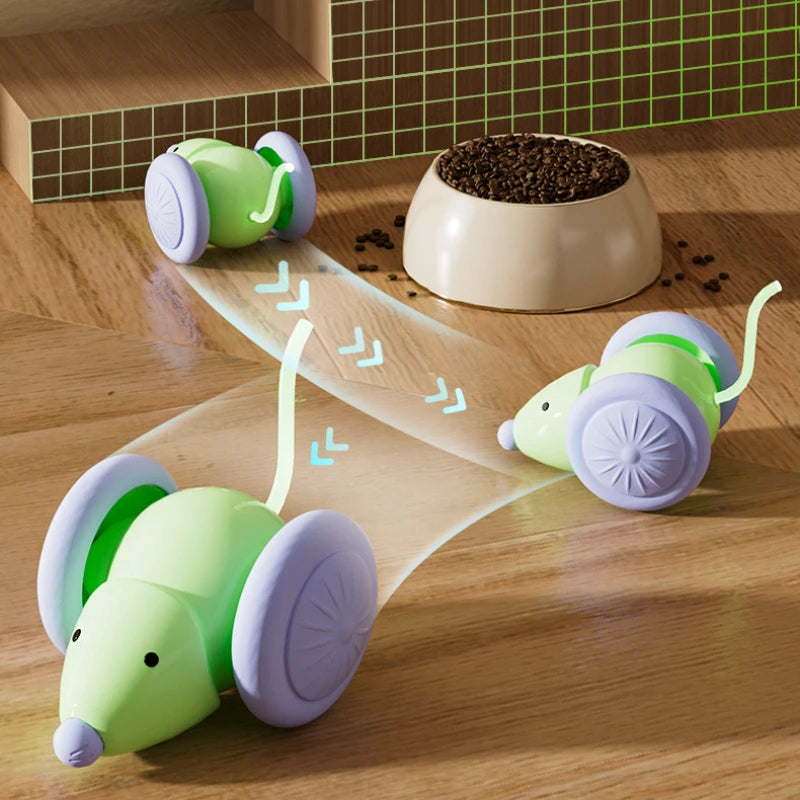 Electric Mouse Car Cat Toy, Rechargeable