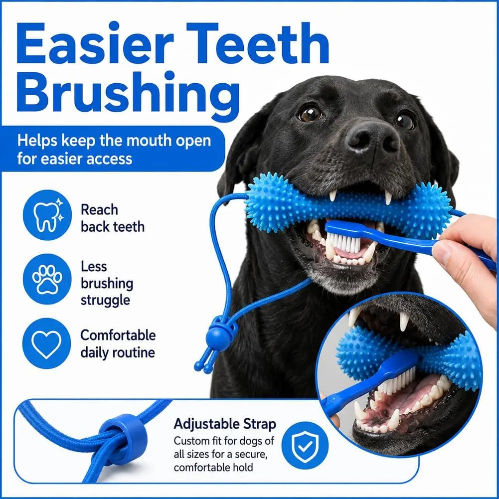 Dental Chew Toy with Rope for Dogs