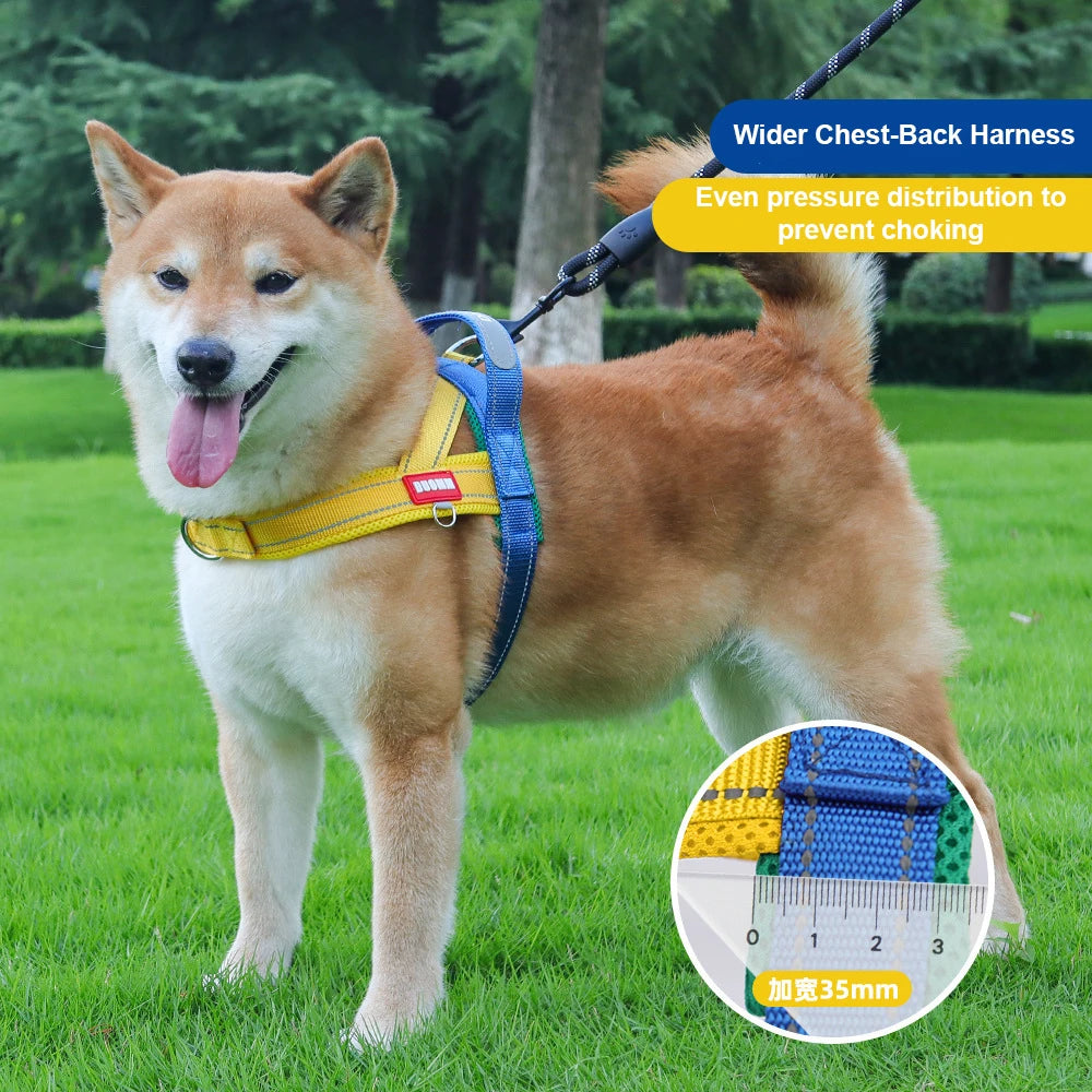 No-Pull Saddle Harness for Small and Medium Dogs