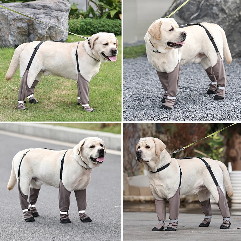 Suspender Dog Boots