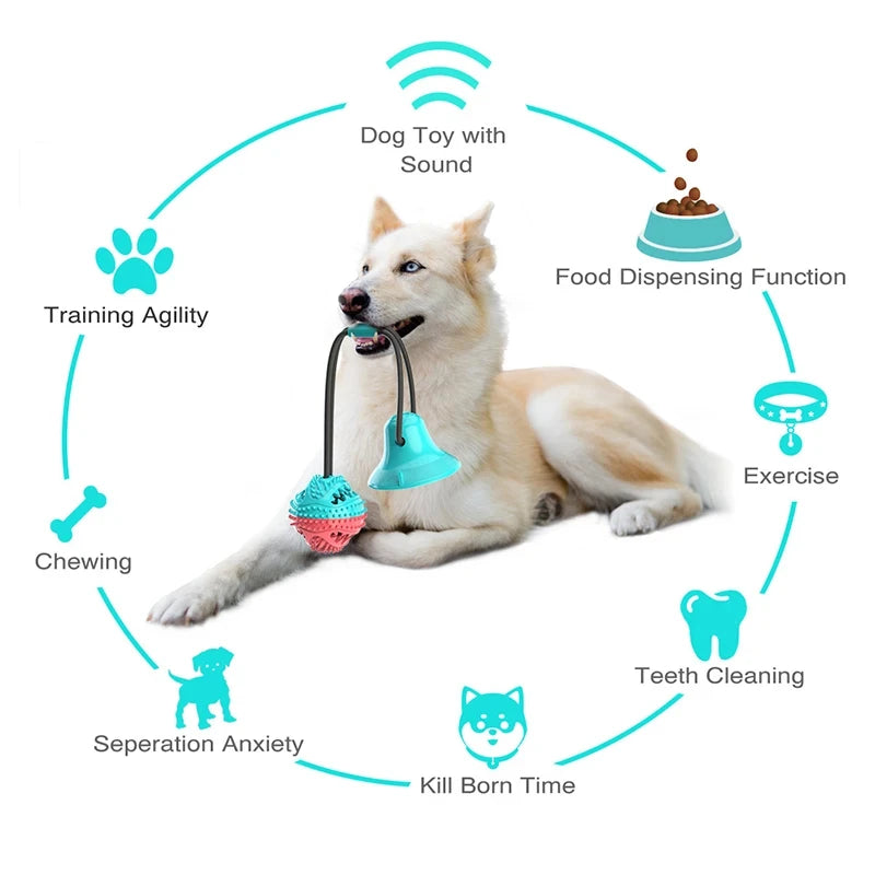 Suction Cup Tug Toy with Treat Ball