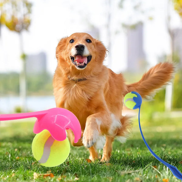 Dog Ball Launcher Stick (Ball Not Included)