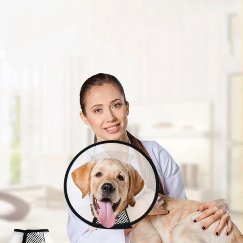 Clear Recovery Cone