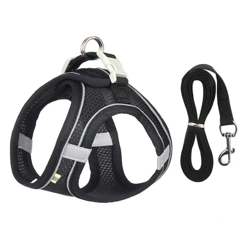 Soft Harness and Lead Set for Puppies and Small Dogs - Black / L 10-15 kg