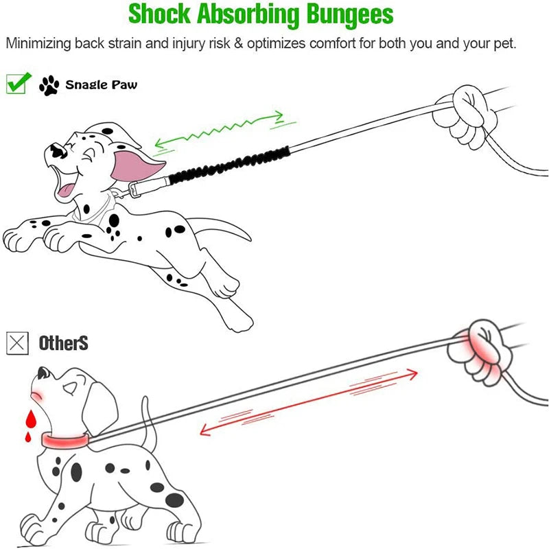 Bungee Lead Extension