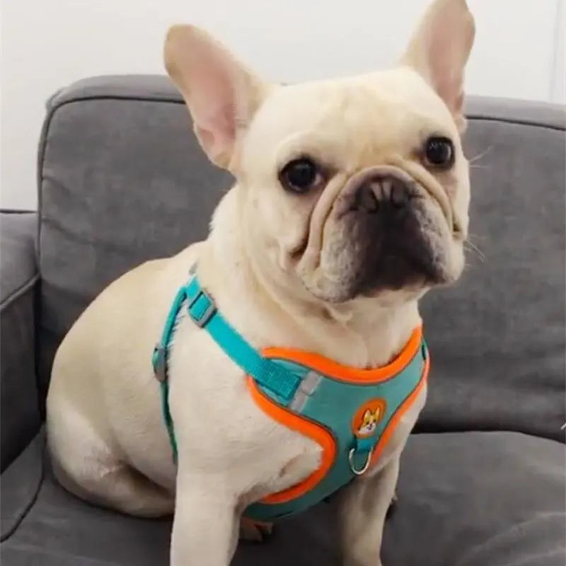 Reflective No-Pull Dog Harness and Lead