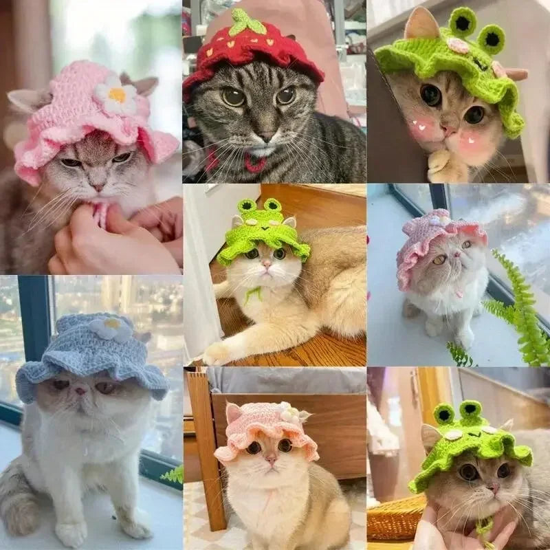 Knitted Hat for Cats and Small Dogs