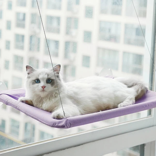 Window Hammock for Cats - Purple